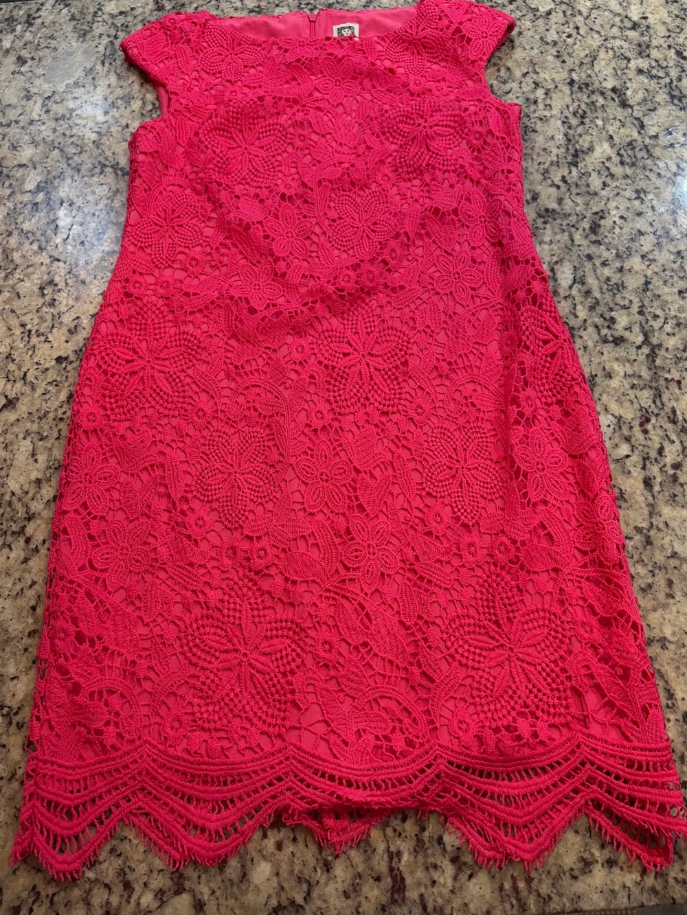Anne Klein fuschia pink lace dress with floral pattern